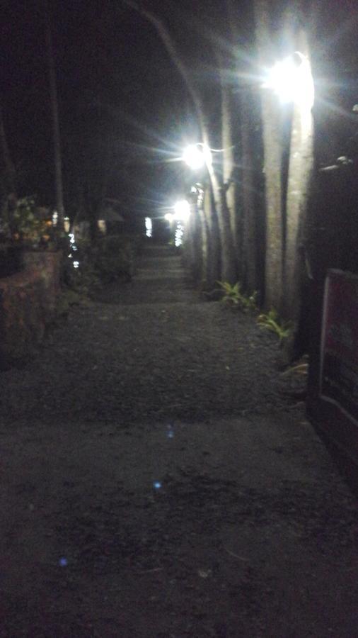 Larmar Bed And Breakfast Puerto Princesa Exterior photo